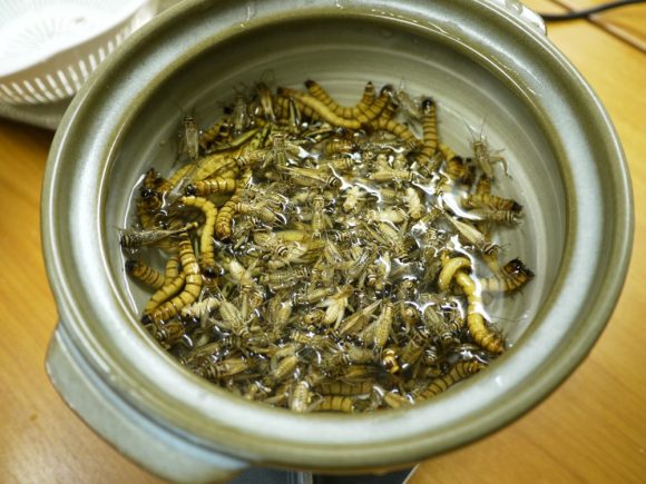 Nồi lẩu lúc nhúc sâu bọ, nhìn thôi đã thấy &#34;lạnh gáy&#34; - 6