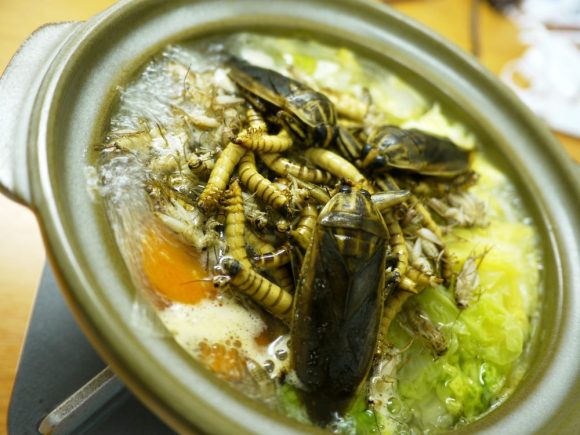 Nồi lẩu lúc nhúc sâu bọ, nhìn thôi đã thấy &#34;lạnh gáy&#34; - 11