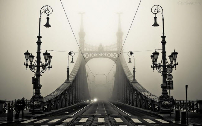 Cầu Liberty, Hungary