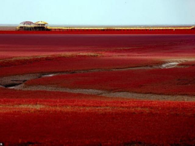Bãi biển đỏ rực như bể máu khiến du khách không dám nhúng chân