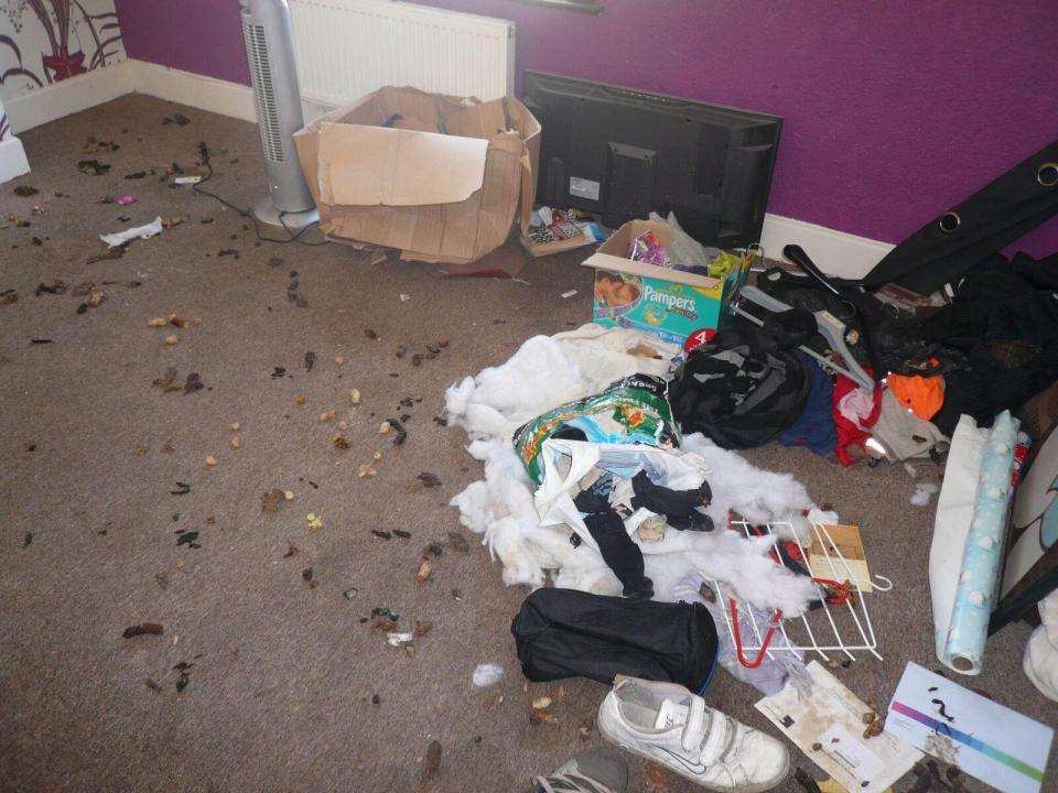 Cho thuê nhà, sốc với cảnh tượng kinh hoàng khi nhận lại - 8