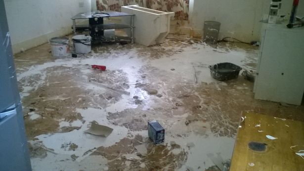 Cho thuê nhà, sốc với cảnh tượng kinh hoàng khi nhận lại - 7