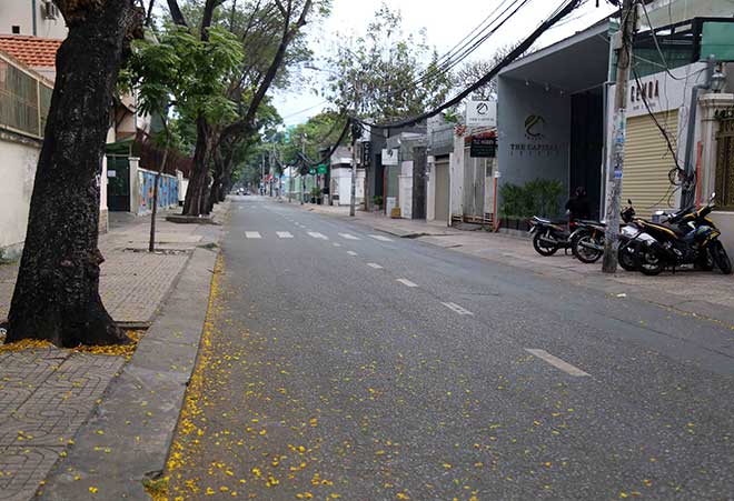 Vẻ vắng lặng, đẹp lạ lùng trong sáng đầu năm ở nơi sầm uất nhất cả nước - 21