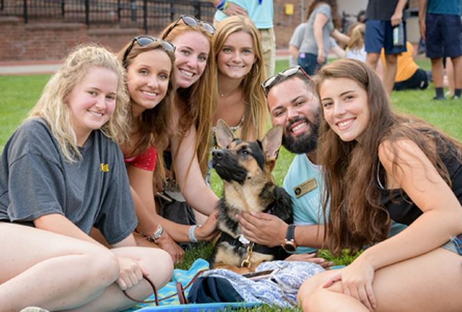 Tết Tây, nhiều sinh viên Mỹ tới Việt Nam tìm hiểu về tài chính - 1