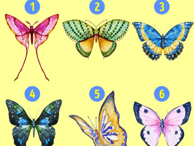 Giới trẻ - Chọn hình con bướm sẽ cho biết tính cách ẩn giấu trong bạn