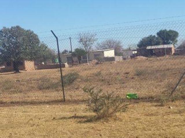 Phi thường - kỳ quặc - Cắt “của quý” người khác, vứt vào giỏ đựng quần áo rồi thản nhiên đi ăn cưới