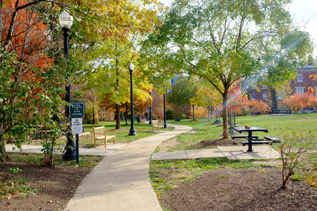 Picturesque Kalorama cũng là khu vực nhà của CEO Amazon Jeff Bezos, cựu Tổng thống Barack Obama và cựu Đệ nhất phu nhân Michelle Obama.