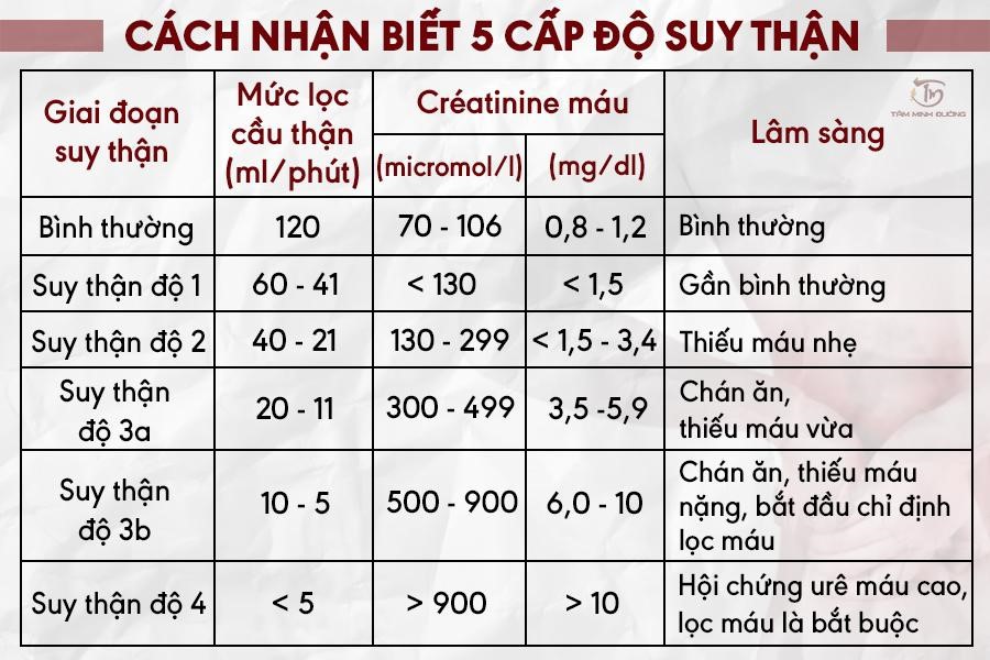 Tổng hợp thông tin về chỉ số suy thận độ 1