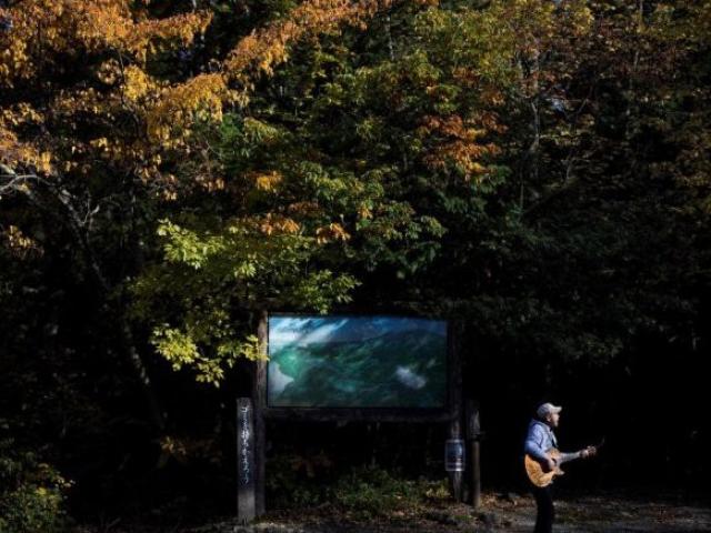 Du lịch - Người canh giữ "khu rừng tự sát": Nỗ lực không ngừng nghỉ để bảo vệ