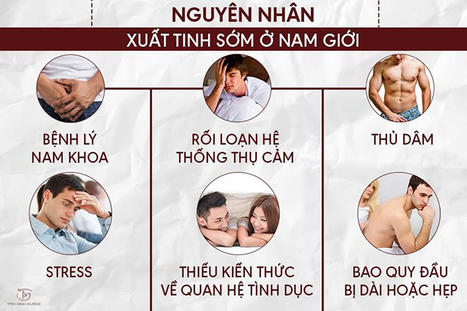Xuất tinh sớm là gì? Tìm hiểu xem xuất tinh sớm có con được không? - 2