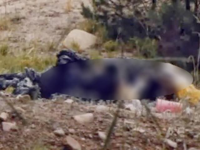 Thi thể cháy đen và sự thật về người mẹ tuyệt vời: Hiện trường kinh hoàng