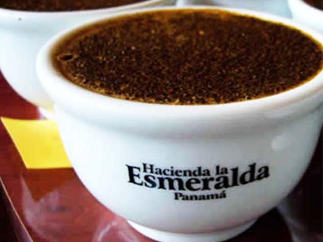 Ẩm thực - Tín đồ cà phê mê mệt nhưng "xót ví" vì những loại cà phê đắt nhất hành tinh