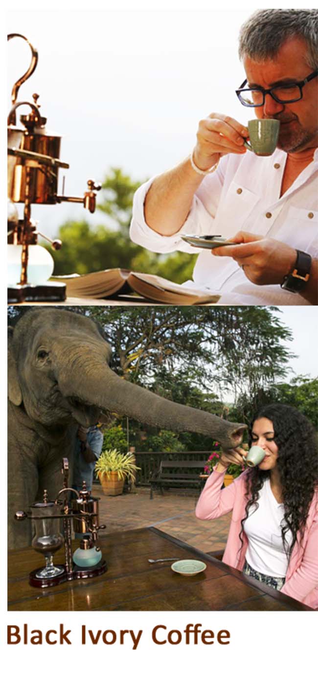 Tín đồ cà phê mê mệt nhưng "xót ví" vì những loại cà phê đắt nhất hành tinh - 9