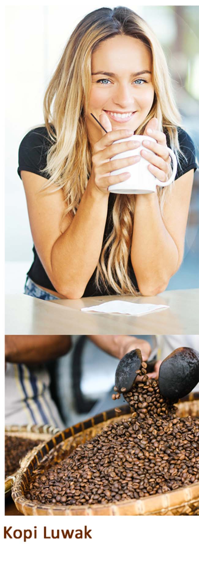 Tín đồ cà phê mê mệt nhưng "xót ví" vì những loại cà phê đắt nhất hành tinh - 10