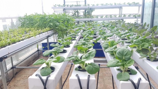 "Ông vua miền Tây" khoe mô hình "vườn - ao - chuồng" trong biệt thự 20 tỷ - 6