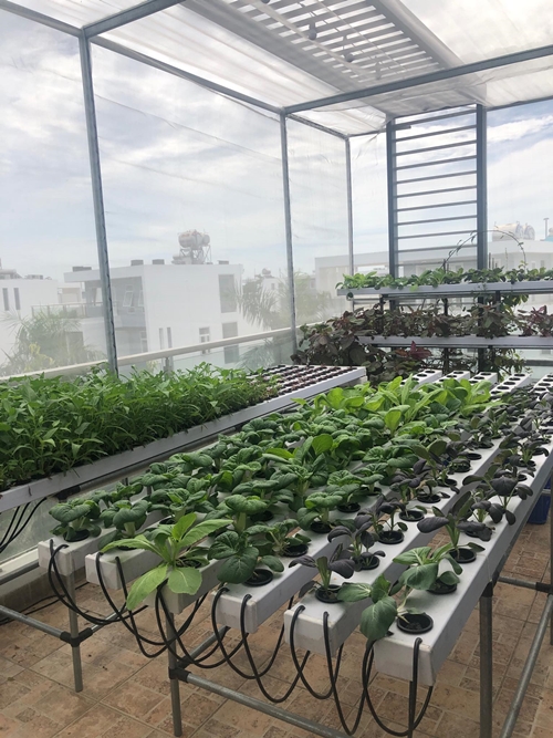 "Ông vua miền Tây" khoe mô hình "vườn - ao - chuồng" trong biệt thự 20 tỷ - 7