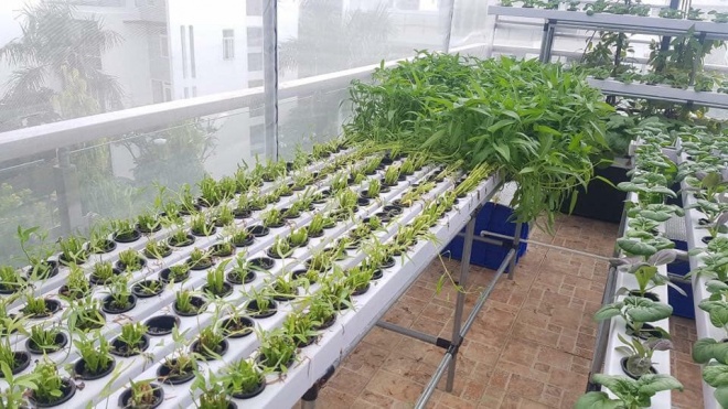 "Ông vua miền Tây" khoe mô hình "vườn - ao - chuồng" trong biệt thự 20 tỷ - 5