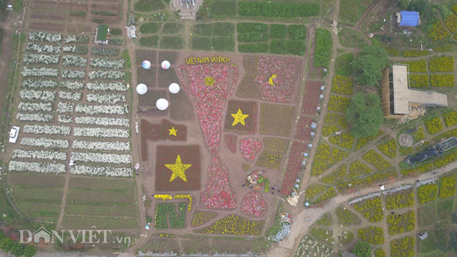 Flycam: Ngắm cúp Asian Cup làm từ hàng vạn cây hoa giữa lòng Hà Nội - 1