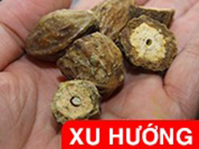 Tiêu dùng 24h - Đừng tiếc 1 phút đọc nếu con ho đờm, sổ mũi liên miên!