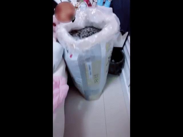 Video Clip Cười - Những thứ tạo nên một buổi tối hoàn hảo của FA