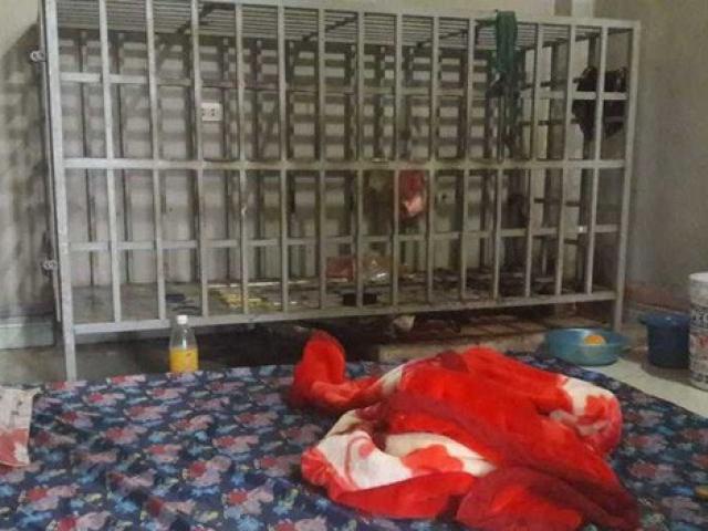 Tin tức trong ngày - Nóng 24h qua: Tình tiết khó hiểu vụ người đàn ông bị vợ nhốt trong lồng sắt nhiều năm