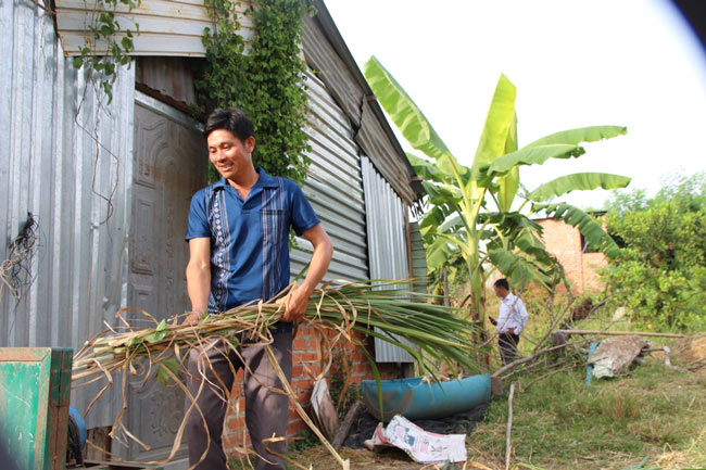 Nuôi đàn chuột không cần uống nước, bán 1,8 triệu đồng/cặp - 1