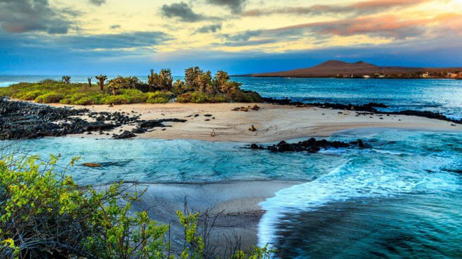 Quần đảo Galapagos, Ecuador: Quần đảo này nổi tiếng với bãi biển cát trắng và đá núi lửa cùng các sinh vật đặc hữu. Nhưng ô nhiễm môi trường, nạn phá rừng và sinh vật ngoại lại đang phá vỡ hệ sinh thái ở đây.