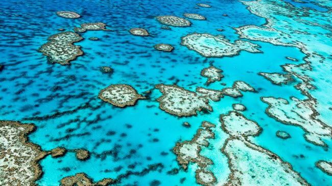 Rạn san hô Great Barrier, Australia: Đây là hệ sinh thái san hô lớn nhất trên thế giới. Mặc dù vậy, số lượng du khách tăng nhanh cùng với tình trạng ấm lên toàn cầu đã khiến rạn san hô Great Barrier ngày càng bị thu hẹp.