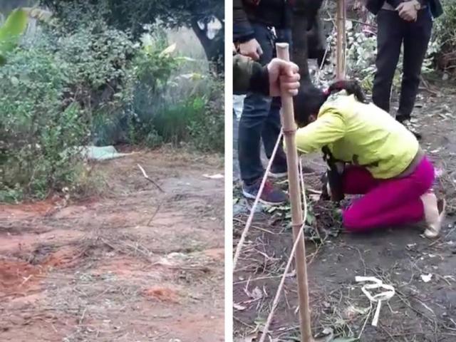 Pháp luật - Công an lên tiếng vụ con chết bí ẩn ngoài vườn, mẹ khóc thương thảm thiết