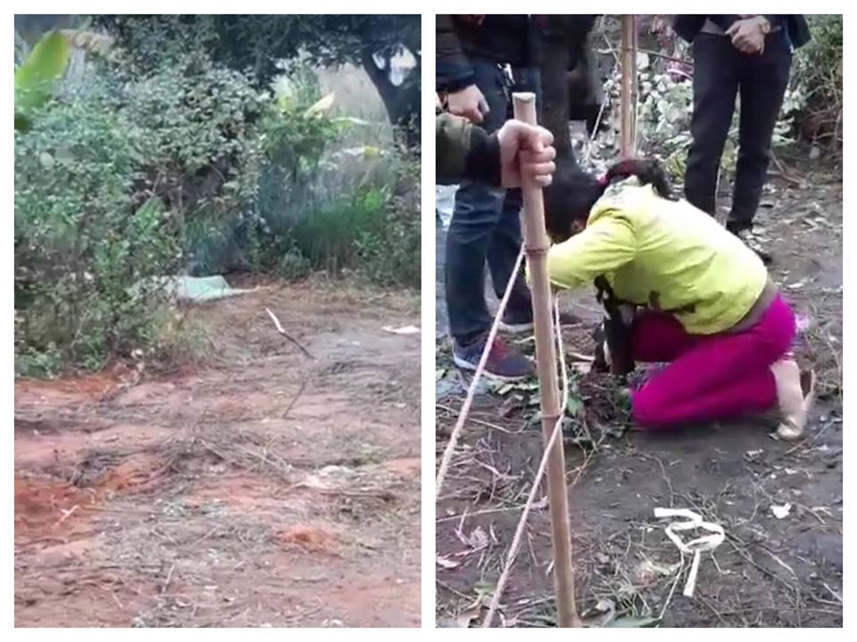 Công an lên tiếng vụ con chết bí ẩn ngoài vườn, mẹ khóc thương thảm thiết - 1