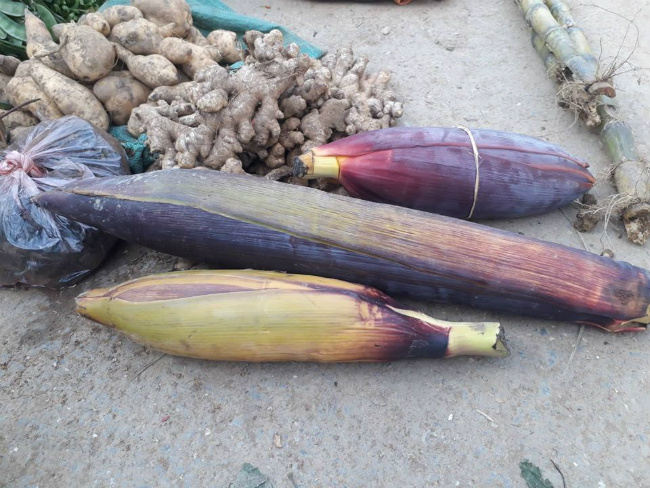 Tết nguyên đán 2019 cận kề, nhiều mặt hàng nông sản, cây nhà lá vườn được bà con mang ra chợ bán kiếm tiền mua nhu yếu phẩm phục vụ Tết.
