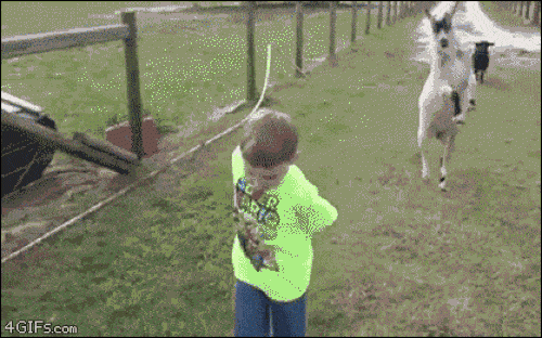 Những tình huống "cười ra nước mắt" trong cuộc sống - 1