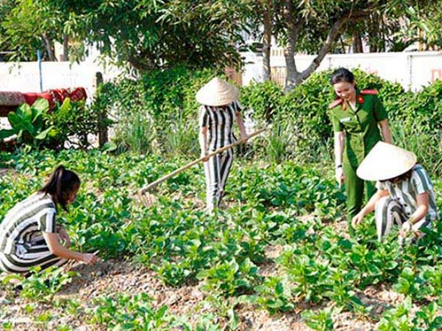 Pháp luật - Nữ cảnh sát cảm hóa phạm nhân bằng tấm lòng