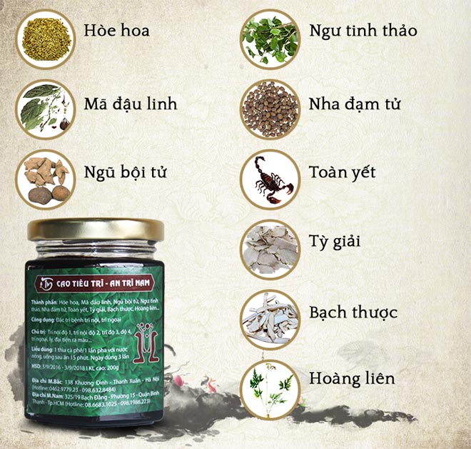 Cách điều trị bệnh trĩ nội, trĩ ngoại tại nhà bằng thuốc nam - 4