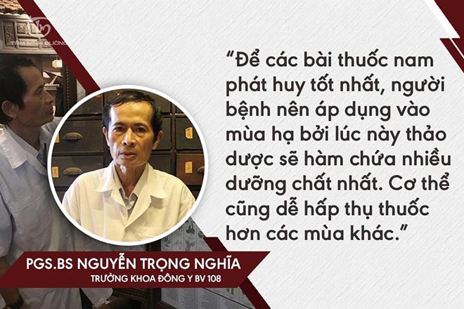 Cách điều trị bệnh trĩ nội, trĩ ngoại tại nhà bằng thuốc nam - 2