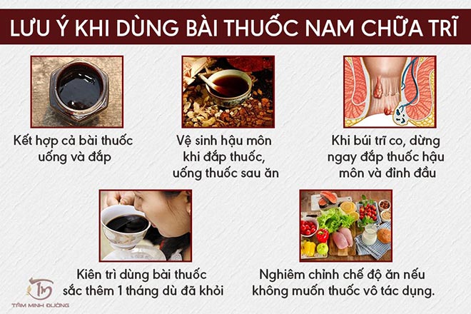 Cách điều trị bệnh trĩ nội, trĩ ngoại tại nhà bằng thuốc nam - 3