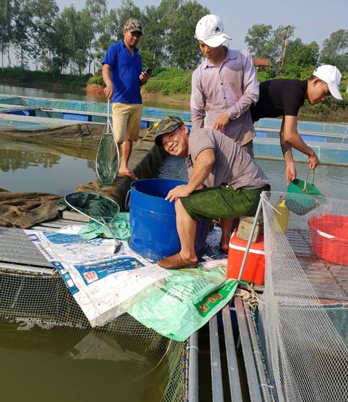 Làm ăn lạ: Nuôi cá chuối hoa trong lồng, bán giá cao, thu lãi khủng - 1