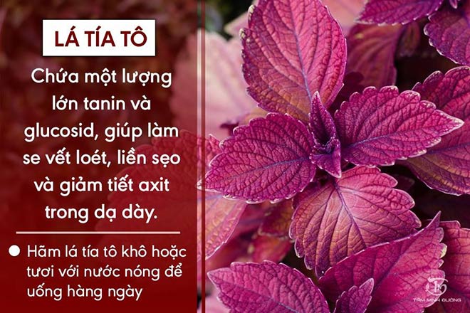 3 cách chữa trào ngược dạ dày thực quản lành tính, hiệu quả tại nhà - 3