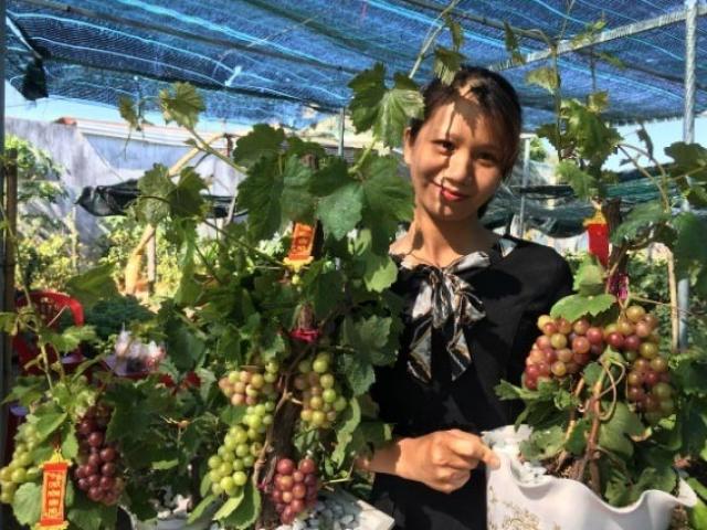 Thị trường - Tiêu dùng - "Dàn người mẫu" nho kiểng độc lạ trưng Tết 2019 đã sẵn sàng