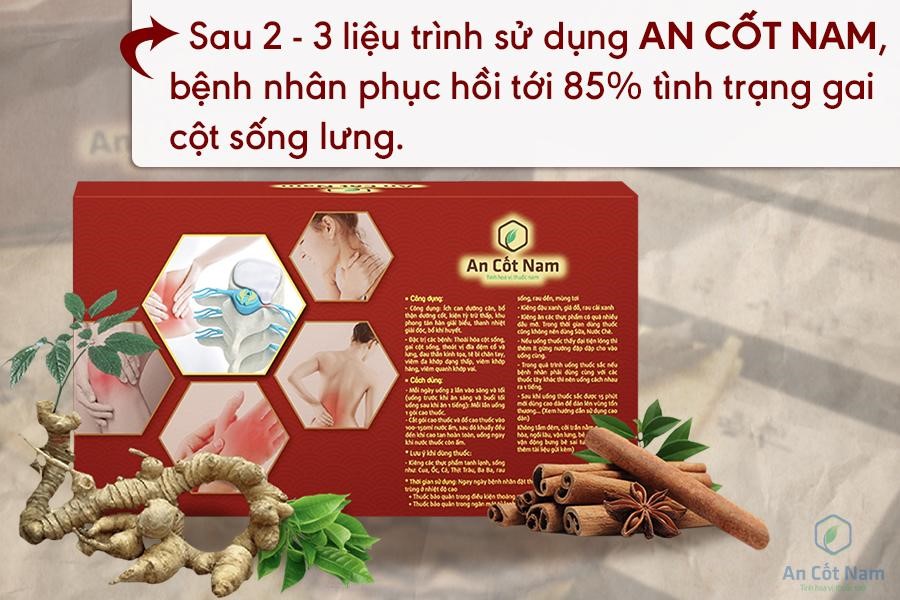 Gai cột sống lưng và cách điều trị bằng thuốc nam hiệu quả tuyệt đối - 4