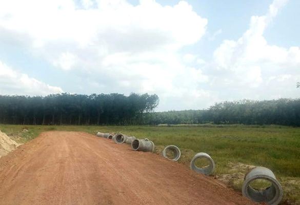 Tự vẽ dự án rồi &#34;bắt tay nhau&#34; phân lô bán nền rầm rộ - 4
