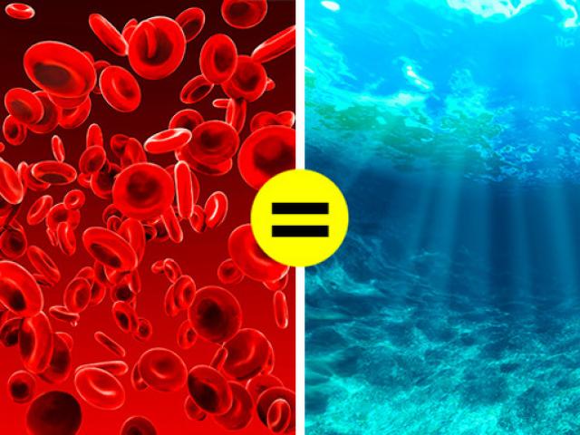 Giáo dục - du học - Những kiến thức siêu thú vị mà trường học không dạy chúng ta