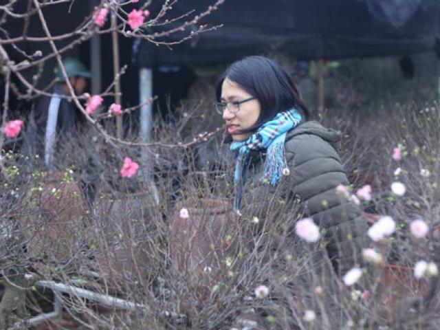 Thị trường - Tiêu dùng - Hoa nhất chi mai "kén" người chơi Tết