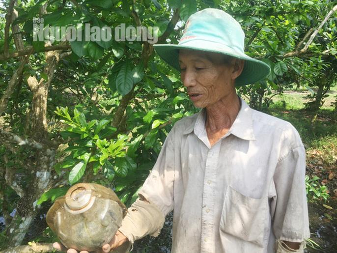 73 tuổi, cụ ông vẫn quán xuyến vườn đào tiên &#34;khủng&#34; tạo hình hồ lô - 9