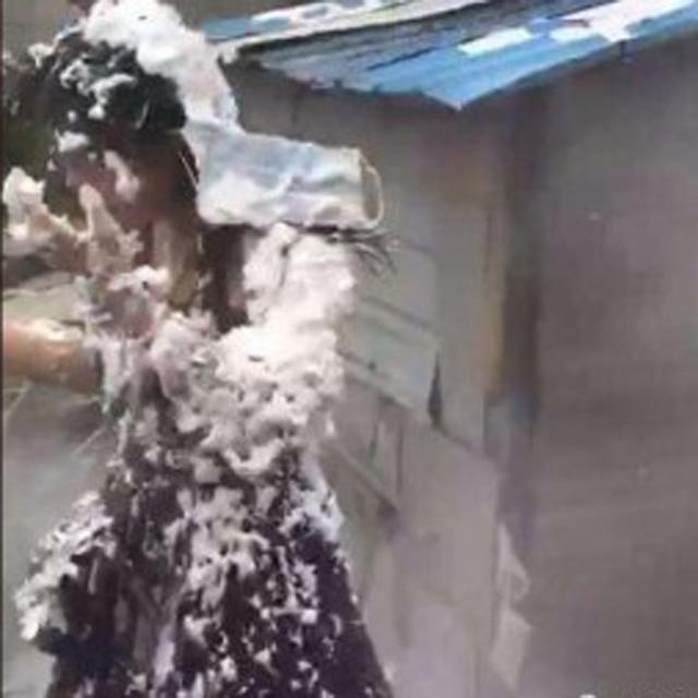 Phù rể dùng bình cứu hỏa xịt đầy người phù dâu khiến đám cưới náo loạn - 2