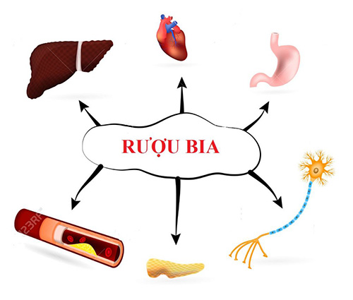 Đây mới là cách thải độc rượu bia “chuẩn” cho dịp tết này - 1