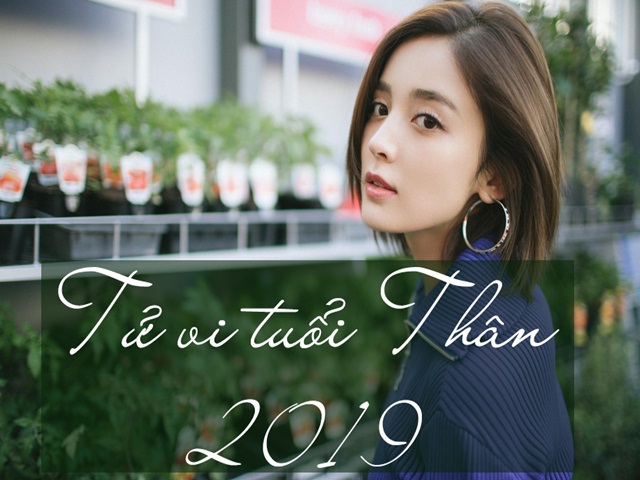 Bạn trẻ - Cuộc sống - Tử vi tuổi Thân năm Kỷ Hợi 2019: tình cảm may mắn, tài vận gập ghềnh