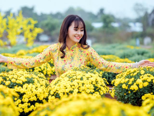 Bạn trẻ - Cuộc sống - Mê mẩn cánh đồng hoa cúc Sa Đéc giữa lòng Hà Nội