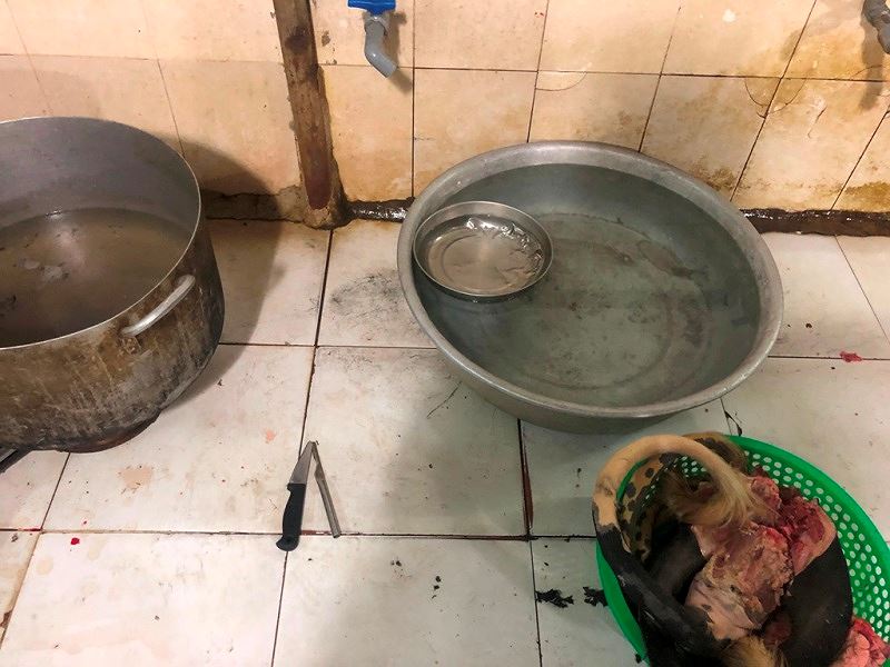 Ớn lạnh tẩy trắng phụ phẩm bò thối để bán cho quán nhậu - 4