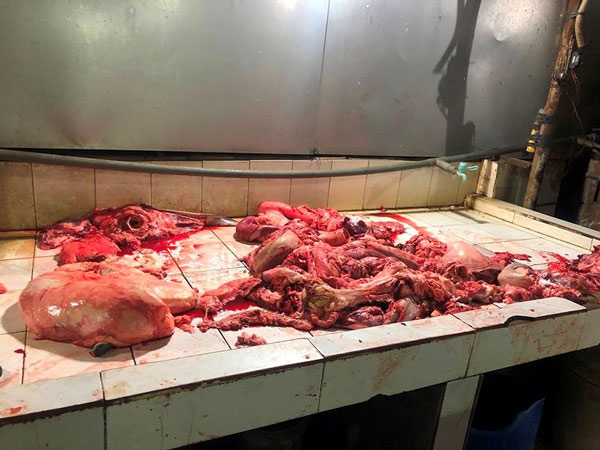 Ớn lạnh tẩy trắng phụ phẩm bò thối để bán cho quán nhậu - 5